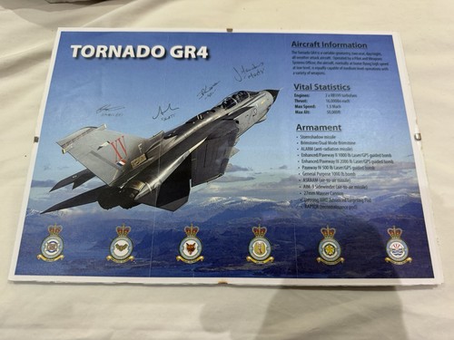 Royal air force - royal,