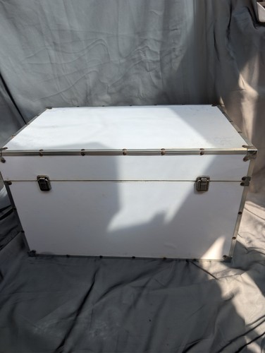 Storage trunk white - trunk, laminate