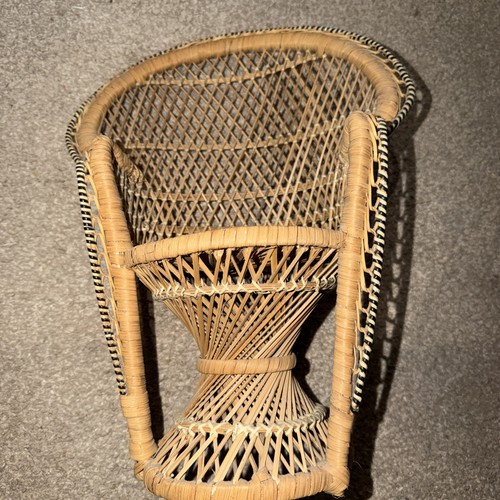Vintage wicker peacock fan - peacock,
