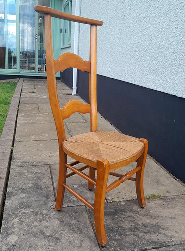 Unusual vintage beech - beech, high
