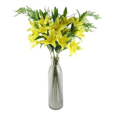 Yellow Lily Flowers Fern