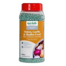 Onion, Garlic and Shallot