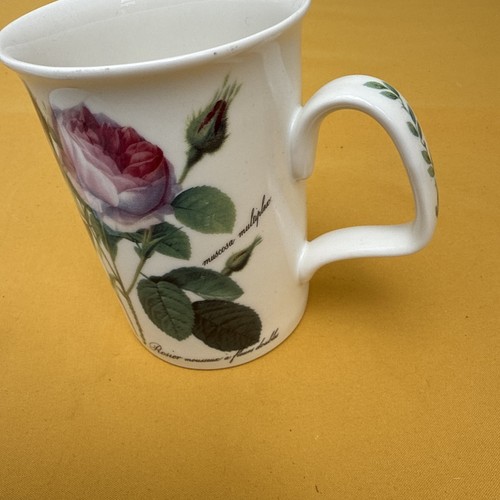 Roy kirkham redoute roses - kirkham,