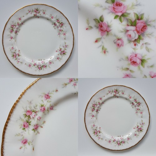 Pretty paragon victoriana rose - victoriana,