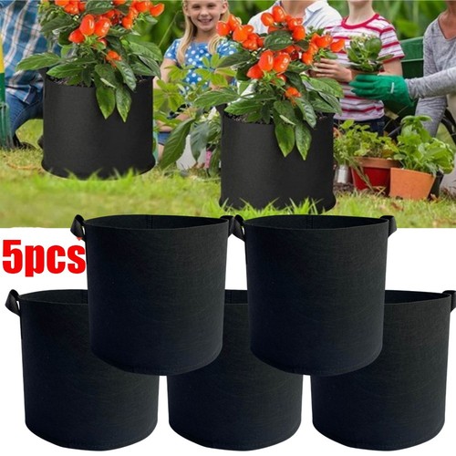 50x 7gallon plant - 3/5/7gallon,