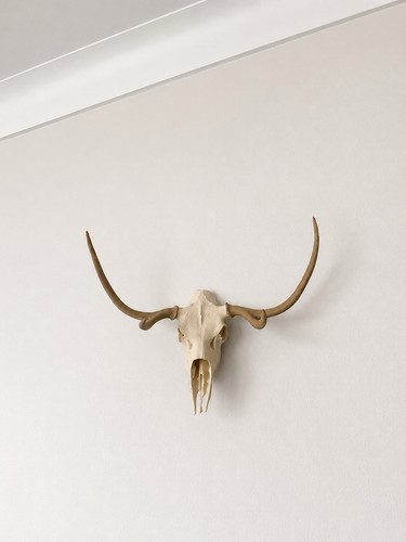 Wall mounted replica deer - mounted,