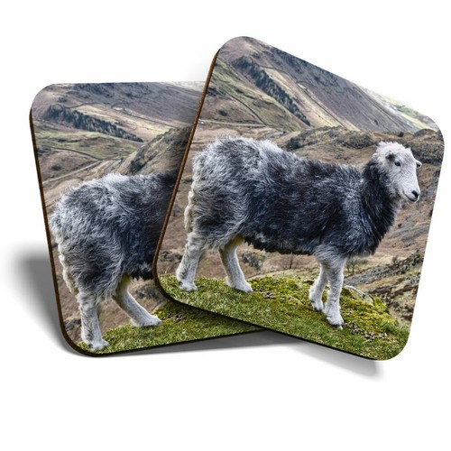 Coasters herdwick sheep - x,