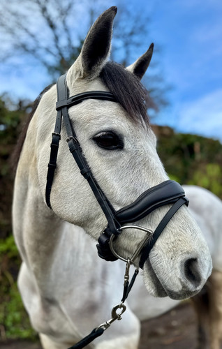 Comfort flash snaffle bridle - flash,