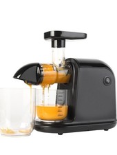 Progress Slow Juicer Juice