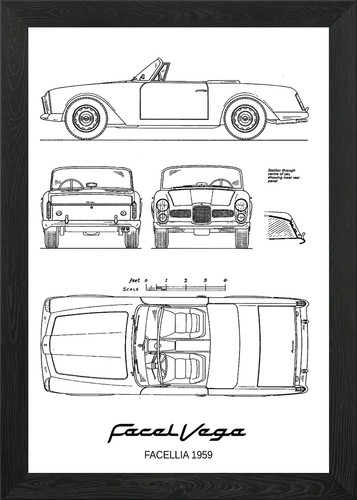 Bnw facel vega facellia - bnw,