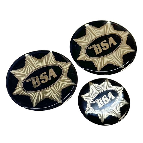 Bsa gold star - engine, casing