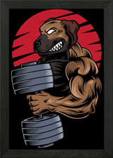 Sporty Rhodesian Ridgeback