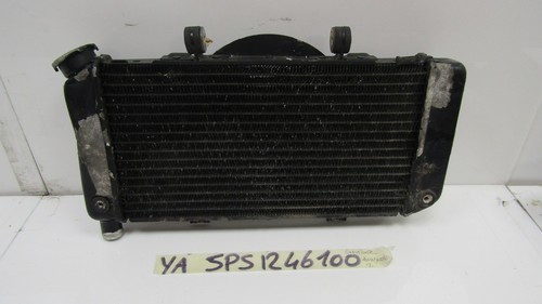 Water radiator - ,