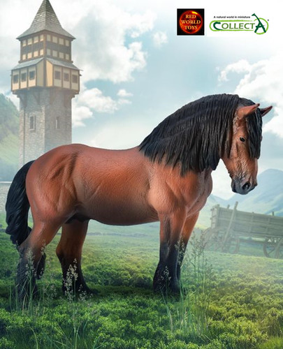 Ardennes bay stallion horse - bay,