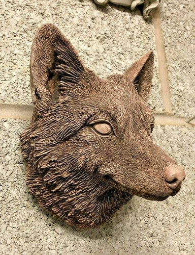 Fox head wall - fox,