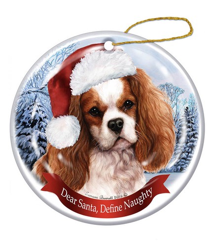 Cavalier king charles spaniel - king,