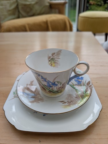 Shelley bone china trio - bone, /