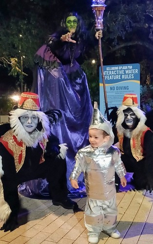 Wizard toddler tin man - oz,