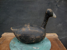 ROOTHEAD COOT DECOY PRIMITIVE OBX CAROLINA LURE ANTIQUE DUCK