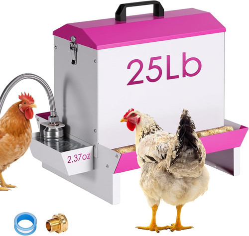 25lb metal chicken - 25lb,