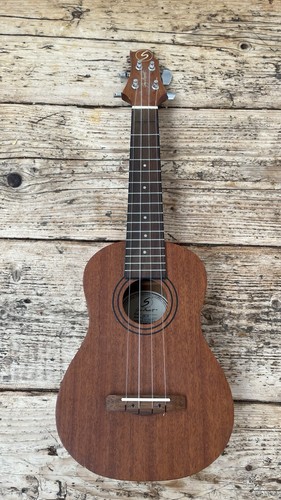 Samick greg bennett design - bennett,
