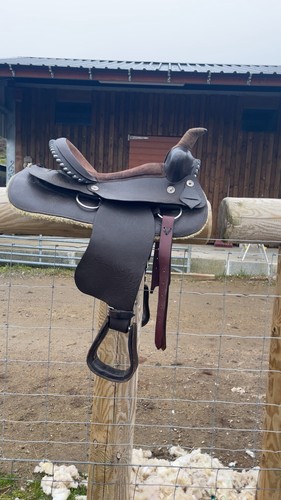 Western saddle brown - saddle,