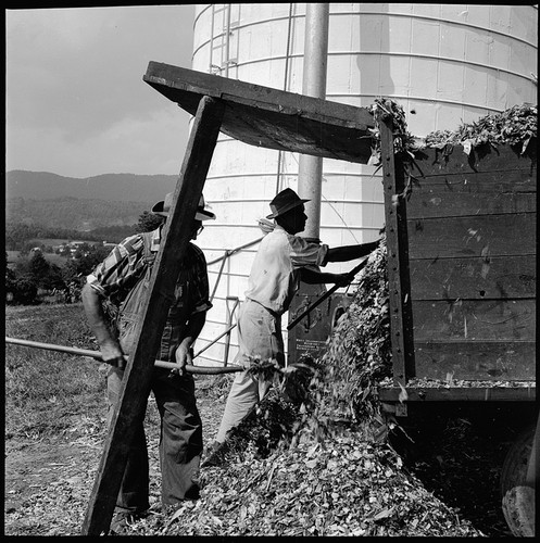 1960s photo negative - 1960s, of