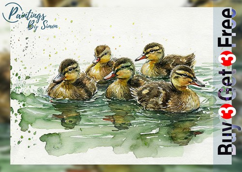 Mallard ducklings print - ducklings,