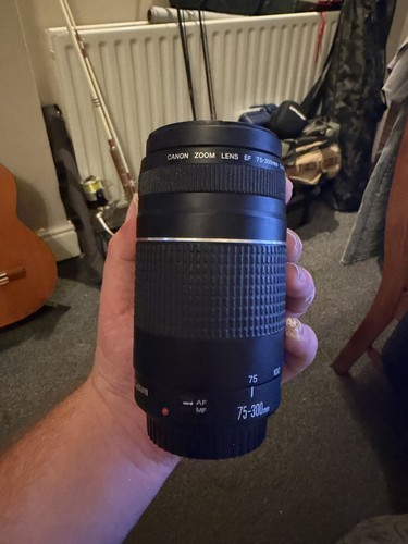 Canon 300mm 5 - ef, f/4-5.6