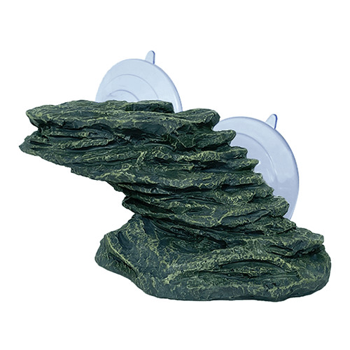 Swell rocky cliff - cliff, turtle
