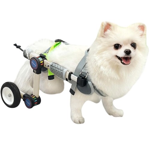 New letpetrun dog - new, xs