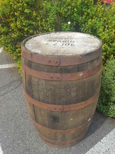 Whiskey gallon oak - whiskey, 40