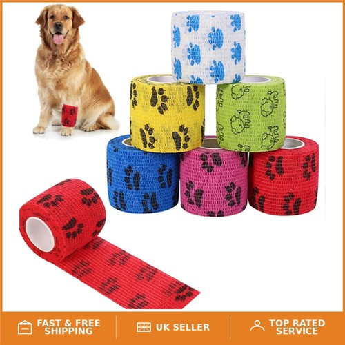High elasticity pet - elasticity, vet