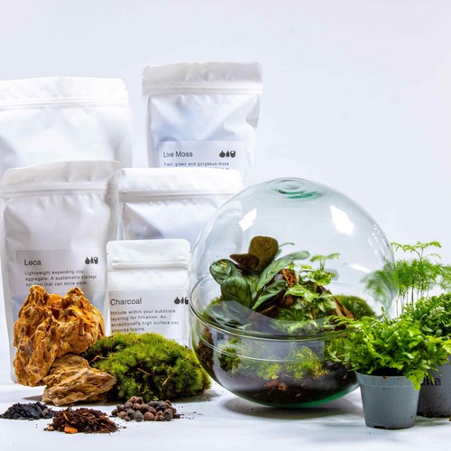 Diy terrarium kit orb - diy,