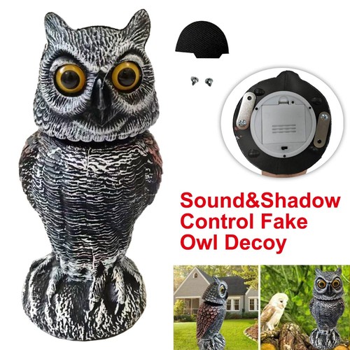 Realistic owl decoy with - decoy,