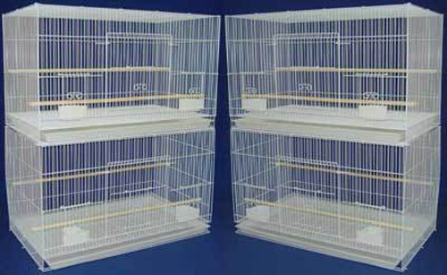 Lot large aviary canary - large,