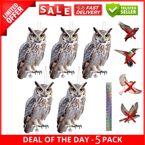 5pcs owl bird - owl,