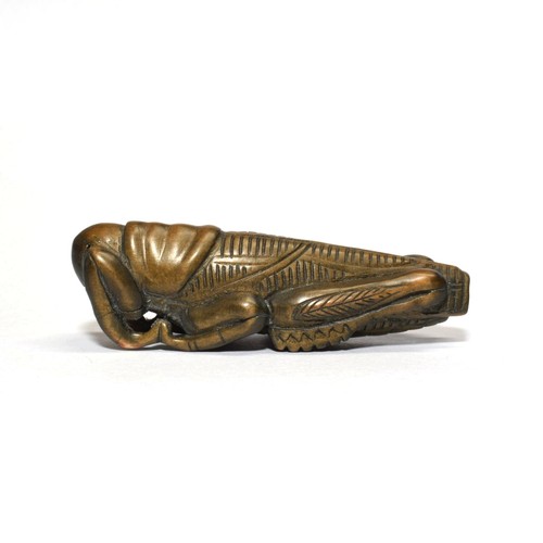 Netsuke grasshopper japanese - grasshopper,