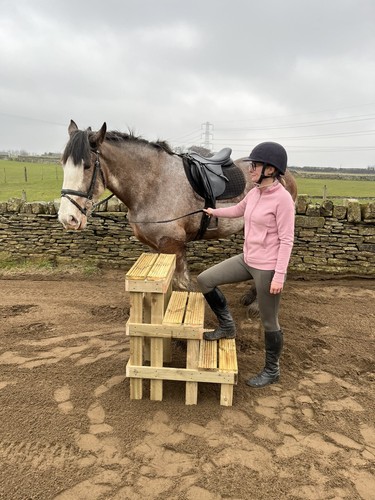 Equestrian step mounting - step,