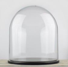 Large Glass Dome Display Cloche Bell with Black Wooden Base 40 x 35.5 cm