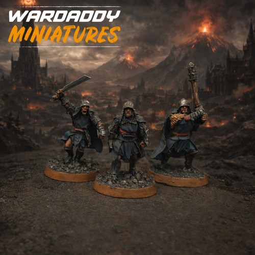 Pro painted warhammer lotr - painted,