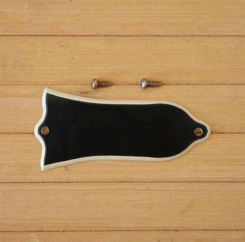 Aged relic truss rod cover - rod,