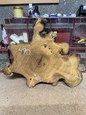 live edge acacia slice 490-380-50mm Kiln Dried