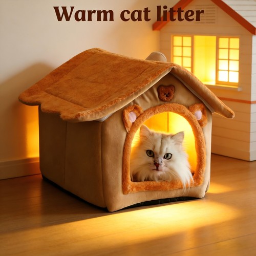 Pet cat kitten - dog, igloo