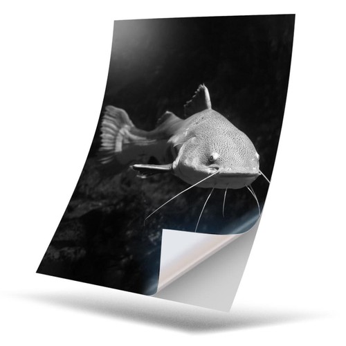 Vinyl sticker bw - 1, x