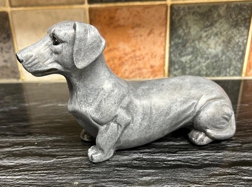 Blue grey dachshund dog - /,