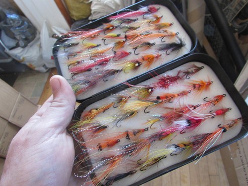 Mixed salmon double - 50,