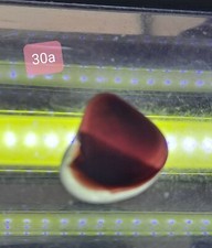 MULTI SEAHAM SEA GLASS