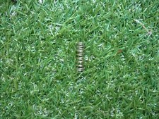 Ryobi RLT30CES petrol strimmer parts - driveshaft spring - 440