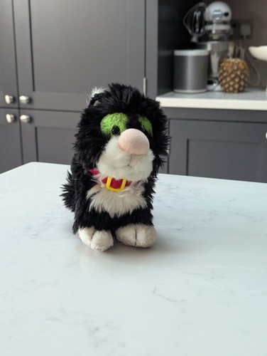 Jess the cat - the, beanie